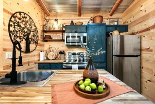 Cozy Cove Cabin - The Perfect Ozark Retreat - 2