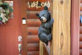 210 Cubs In The Treetops Home - Gatlinburg - 8