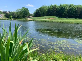 Fairway to Heaven in Old Kinderhook - Villa on 14th Fairway of Golf Course - 4