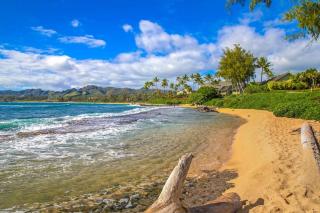 Islander on the Beach #232 - Kapaa - 8