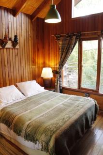 Hotel Boutique Nalcas - Malalcahuello - 0