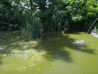 Enikő Vendégház - 1