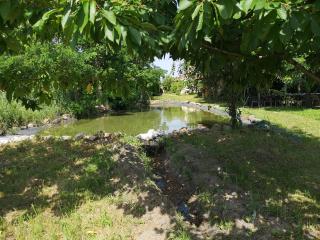 Enikő Vendégház - 8