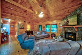 Pet-Friendly escape in Ellijay Private Hot Tub - 2