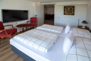 Pension -Villa Vintage -Apartman louis A102 - - 7