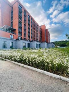 Alvina complex Vakas Tsakghadzor apartament - Tsachkadzor - 6