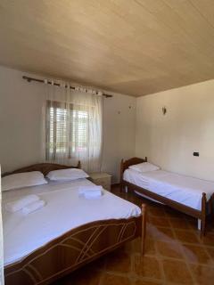 Villa in velipoje, a place to remember! - 5