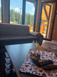 ROMANIJA vikendice - Sarajevo - 5