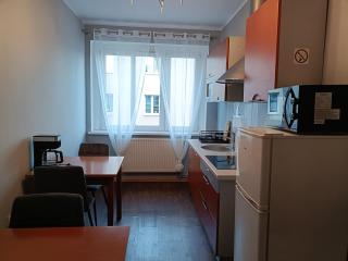 Apartamenty Zielony 6 przy MTP - Poznań - 3
