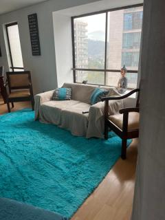 Hermoso Departamento Providencia - 5