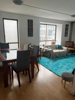 Hermoso Departamento Providencia - 1