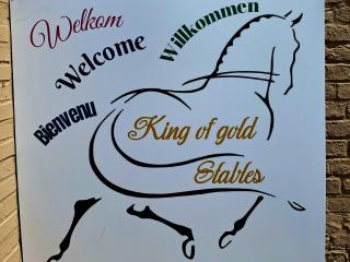 King of Gold Stables appartement met stalling voor 5 paarden - Zutendaal - 5