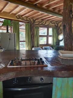 Yellowwood Forest Eco Retreat - 8