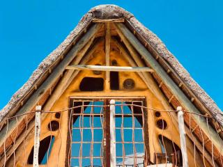 Yellowwood Forest Eco Retreat - 4