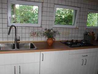 by the forest Modern retreat - Tharandt - 6