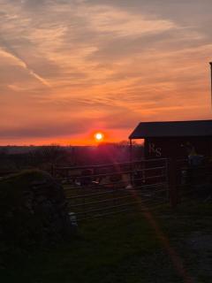 Gorffws Y Cneifwr - 6