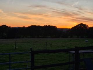 Gorffws Y Cneifwr - 3