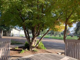 Ranch stay near Sequoias - 8