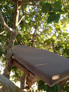 Ram Campsite - Mas'ade - 1