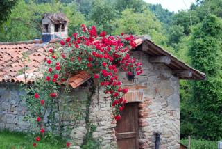 Agriturismo Cebon - 2