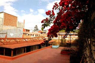 Hostel El Nagual - 9