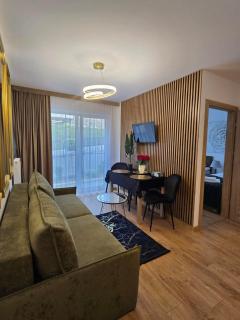 Apartament The Royal Suite Górski z garażem podziemnym - Krynica-Zdrój - 2