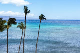 Royal Kahana 616 - 1