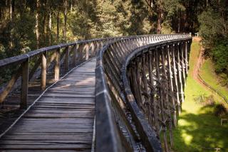 Elegant Country Living - The Homestead by Scotch Hill Truffle Farm - Neerim South - 6