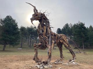 Agritur La Fenice - 7