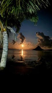 SANJEELA-PLAGE COCO - 8
