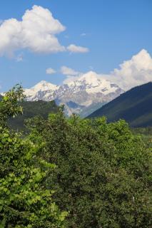 Calm Home Apartment - 4