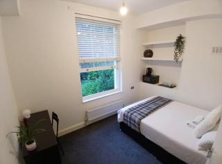Cozy stay with garden view - London - 8