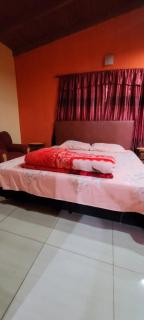 Apartamentos La Familia - 2
