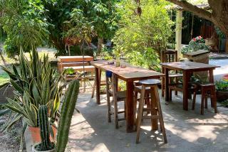 Maracuya Suites Zipolite - 7