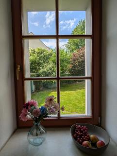 Ruhiges Zimmer mit Gartenblick & Schreibtisch - Freiberg - 6