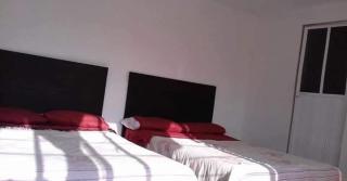 Los ajolotes - 5