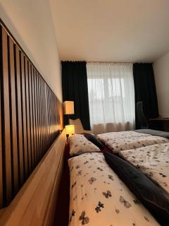 Privatzimmer Burgpanorama - Raabs an der Thaya - 5