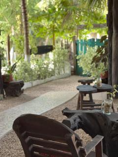 El árbol de la vida Hostel - Private Rooms Near Bacalar Lagoon - 3