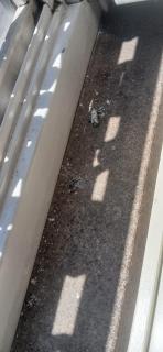 Photography by ML Aptartments - 4