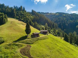 EAGGA-Niederleger Alm - Inneralpbach - 9