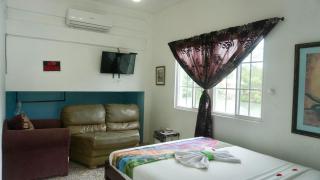 RENOVATED POOLSIDE Sea View Studio with Infinity Pool & Overwater Deck NEAR AIRPORT - Belize City - 9
