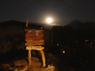 Luna de Chañares - 0