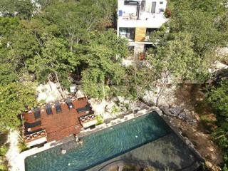 The Strelitzia Project with Private Cenote & Infinity Pool - 6