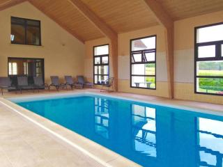 Villa avec Piscine Intérieure, Billard et Tennis, proche Zoo de Beauval et Châteaux de la Loire - FR-1-591-225 - Villentrois - 0