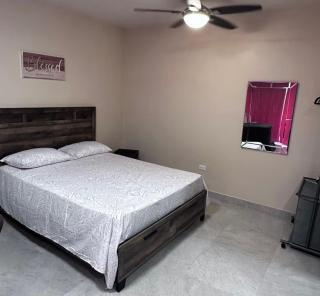 THE NEST Studio Apartment - 3