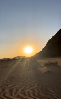 Bedouin oasis - 6