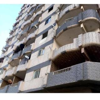 بحر النخيل - Alexandrie - 0
