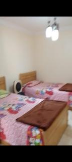 بحر النخيل - Alexandrie - 9