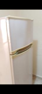 بحر النخيل - 5