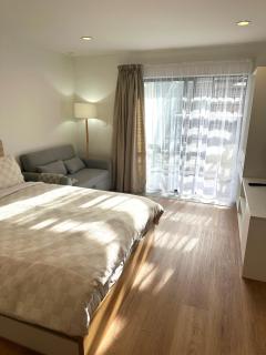 Stylish Studio in Ellerslie - 0